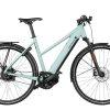 Riese & Müller Roadster Mixte Vario 625Wh Mixed Salvia matt 56cm 2024