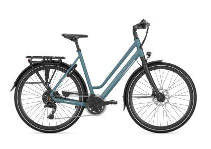 GAZELLE Chamonix T20
